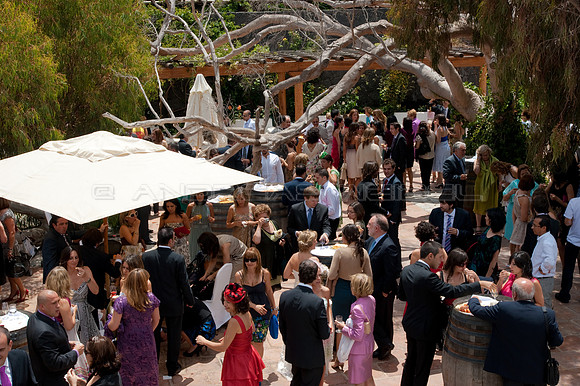 Boda C & P