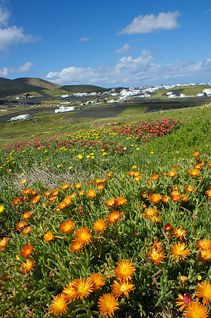 Paisaje invernal en Tao - Lanzarote, Islas Canarias