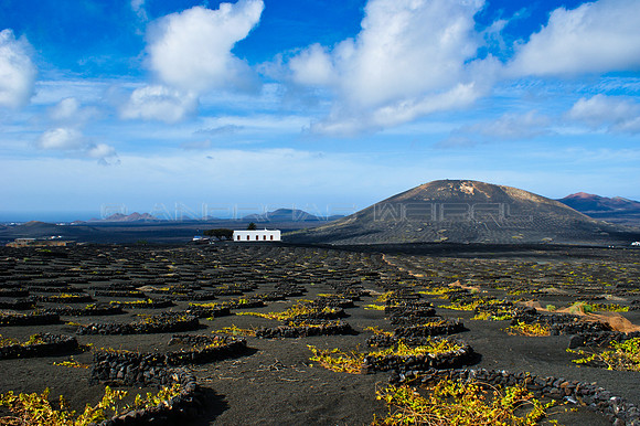 Paisaje de La Geria