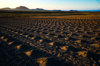 Campo de batata ante los volcanes de Soo - Lanzarote, Canarias