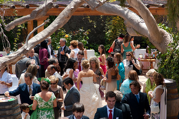 Boda C & P
