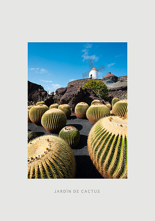 21 - Jardín de Cactus