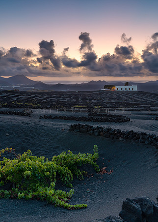 Viñedo al atardecer - La Geria, Yaiza.