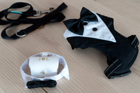 Boda-JessicaLionel-FotoLR-8