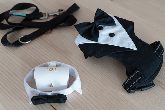 Boda-JessicaLionel-FotoLR-8