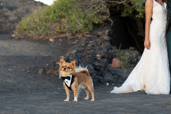 Posboda-JessicaLionel-FotoLR-46