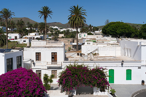 El pueblo de Haria con sus palmeras y bunganvillas.