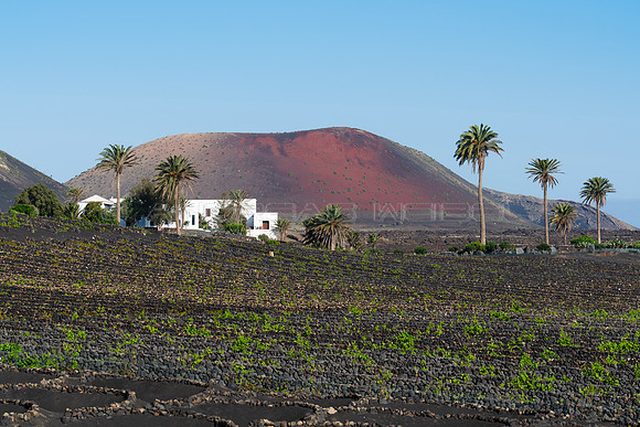 Vista a las fincas de Tisalaya y Montaña Colorada.