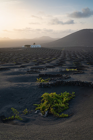Atardecer en los viñedos de La Geria - Yaiza.