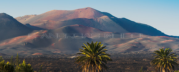 Panorámica con palmeras - Vista al Macizo de Timanfaya, Yaiza.
