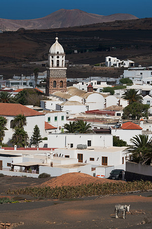 Contrastes en la Villa - Villa de Teguise, Lanzarote.