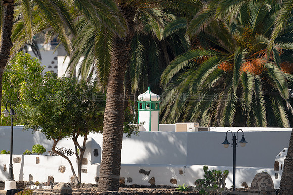 Chimenea etre palmeras - Haria.