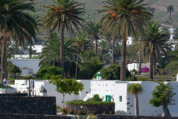 Casas entre palmeras en Haria.