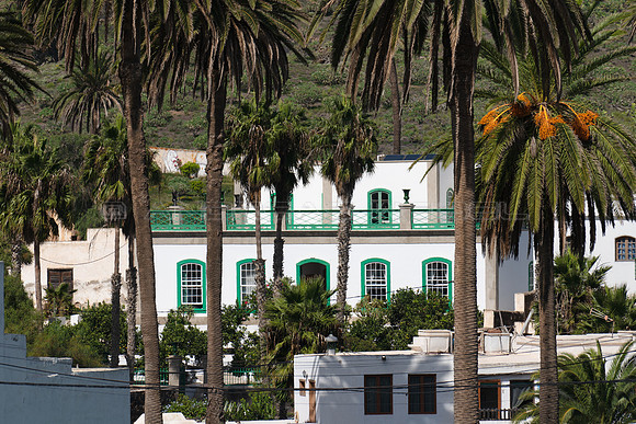 Vista entre palmeras a la Casa de los Naranjos - Haria.