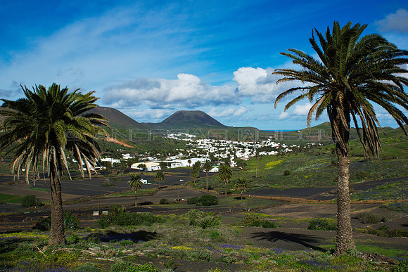 Haría entre Palmeras - Lanzarote, Islas Canarias