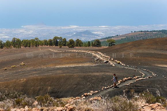 Sendero entre Vilaflor y Guajara - Tenerife, Canarias