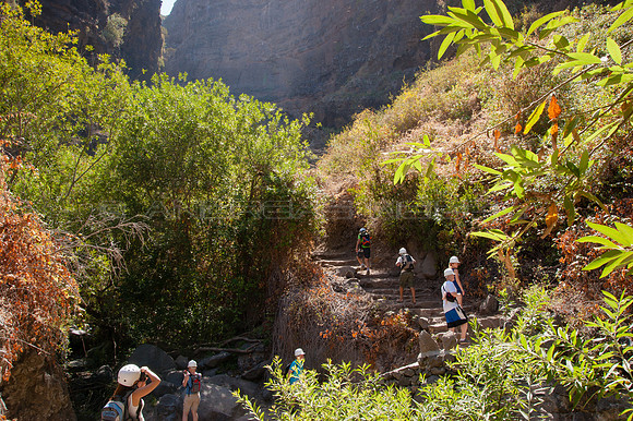 En el barranco del Infierno - Tenerife, Canarias