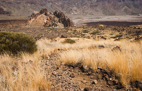 Sendero hacía los Roques de García - Tenerife, Canarias