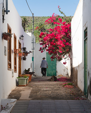 Callejón con buganvilla - Haria.