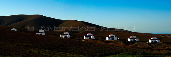 Hiding houses - Casitas escondiendose