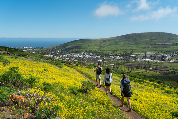 Senderistas entre flores - Haria, Lanzarote.