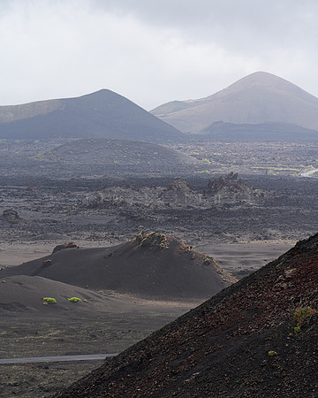 Paisaje lunar con higueras - Parque Nacional de Timanfaya, Lanza