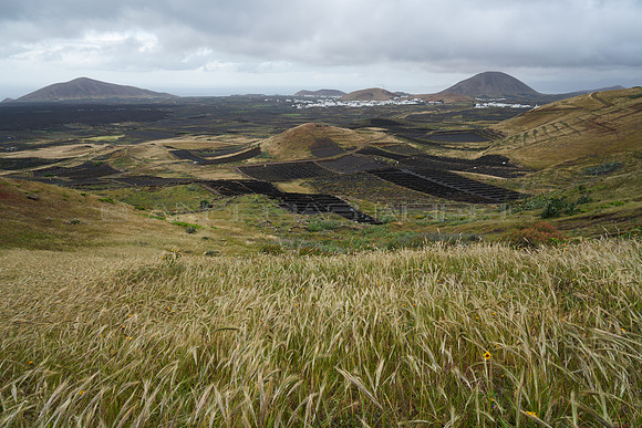 El granero de Canarias - Paisaje rural en Mancha Blanca y Tingua