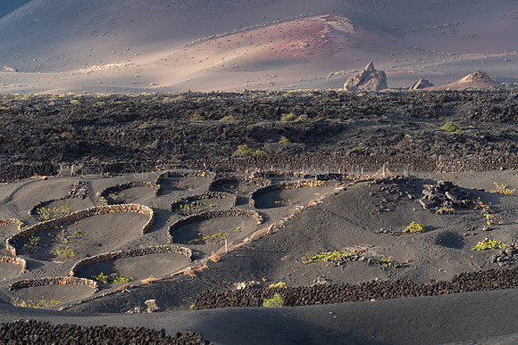 Desde la Geria a Timanfaya - Yaiza, Lanzarote.