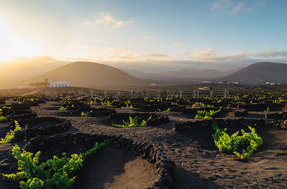 Atardecer en el viñedo - La Geria, Lanzarote.