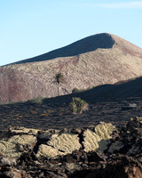 Lava, viñedo y volcán - Esencia de la Geria.