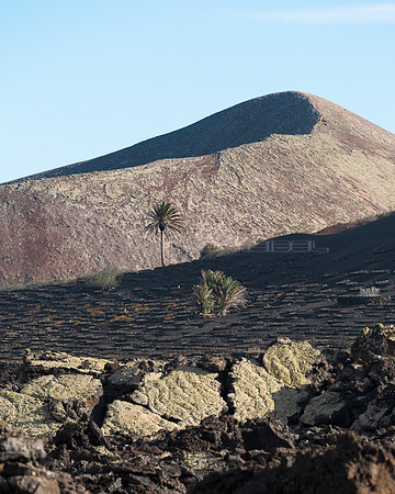 Lava, viñedo y volcán - Esencia de la Geria.