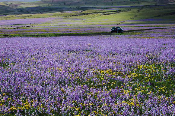DSC03547_150122-Edit.jpg