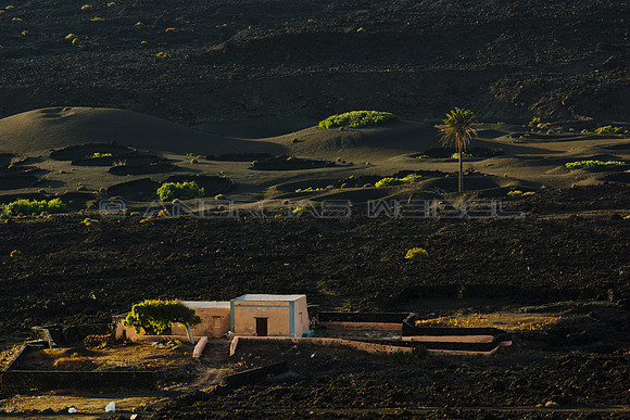 Vida entre lava - entre La Geria y Timanfaya, Lanzarote