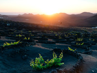 Puesta de Sol desde el viñedo - La Geria, Lanzarote.