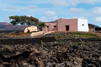 Finca con árbol entre Lavas - La Geria.