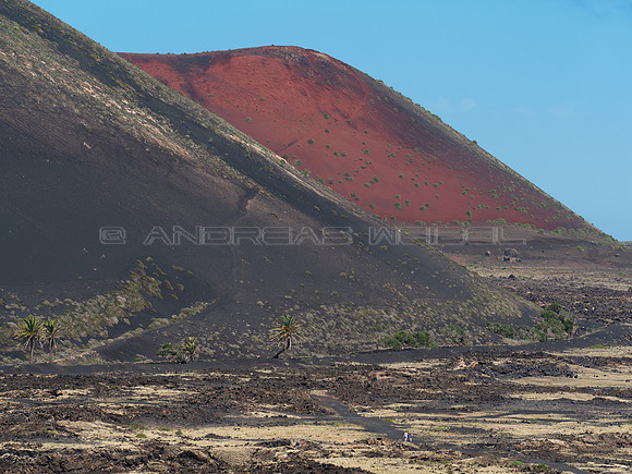 Laderas alineadas - Parque Natural de los Volcanes, Tías.