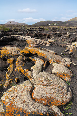 Líquenes sobre lava Pahoehoe en la entrada a la Cueva de los Na