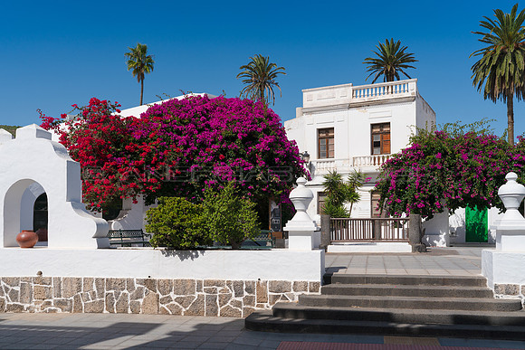 Plaza de la Constitución con buganvillas y palmeras - Haria.