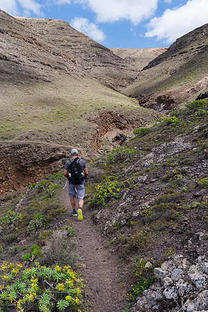 Barranco con senderista - Barranco de Maramajo, Risco de Famara,