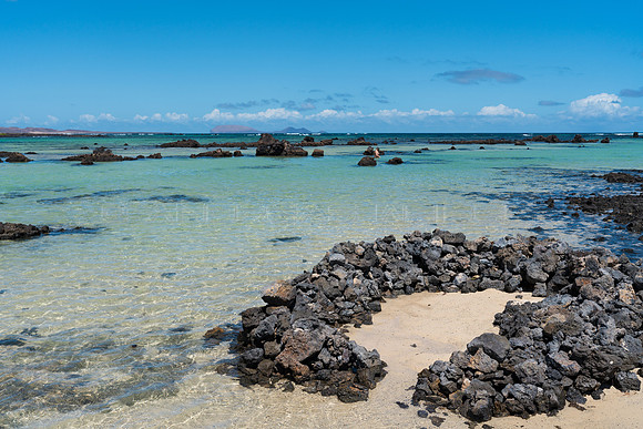 Zoco en la costa - Caletón Blanco, Órzola.