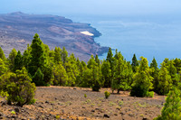 Vistas con pinos - Vista a la costa sur de la Restinga, El Hierr