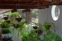Típico Manrique - Techo del restaurante Mirador de la Peña, El