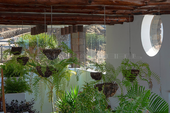 Típico Manrique - Techo del restaurante Mirador de la Peña, El