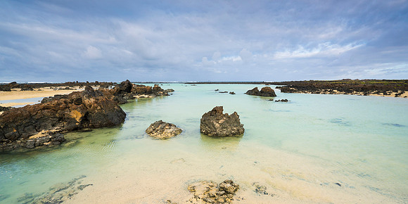 Poster-Pano-120x60-19
