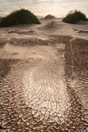 Texturas curiosas en las Dunas de Famara II - Teguise.