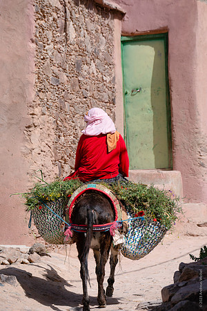 Mount-Siroua-Trek-Photo-35