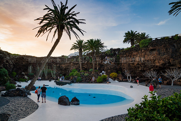 Piscina con Palmera en Jameos del Agua - Lanzarote, Canarias