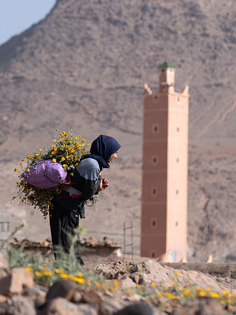Mount-Siroua-Trek-Photo-25
