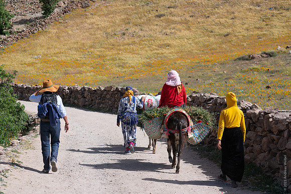Mount-Siroua-Trek-Photo-34