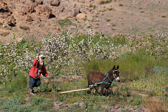 Mount-Siroua-Trek-Photo-103